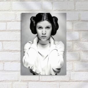 Quadro Decorativo Princesa Leia Star Wars
