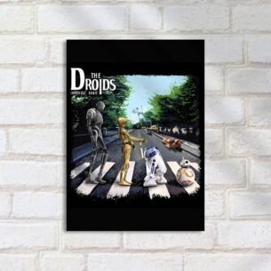 Quadro Decorativo Droids Faixapedestre Starwars