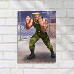 Quadro Decorativo Guile Street Fighter Pose