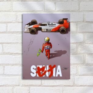 Quadro Decorativo Senna Carro Bandeira Brasil