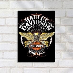 Quadro Decorativo Harley Davidson Aquila Logotipo