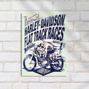 Quadro Decorativo Harley Davidson Corrida Moto