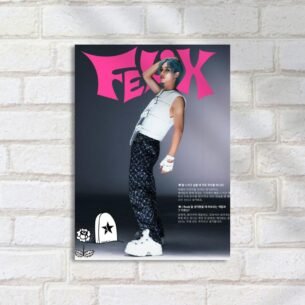 Quadro Decorativo Felix Pose Revista