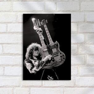 Quadro Decorativo Guitarrista Com Guitarra Dupla