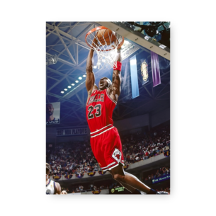 Quadro Decorativo - Nba Jogador Enterrando