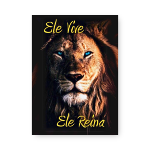 Quadro Decorativo - Leao Olhos Azuis Frase