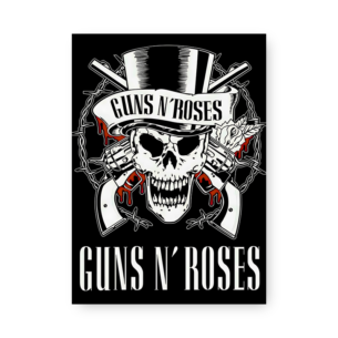 Quadro Decorativo - Guns N Roses Logo Caveira