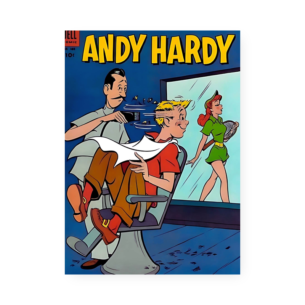 Quadro Decorativo Andy Hardy Cabeleireiro