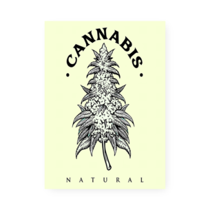 Quadro Decorativo Cannabis Natural Ilustracao