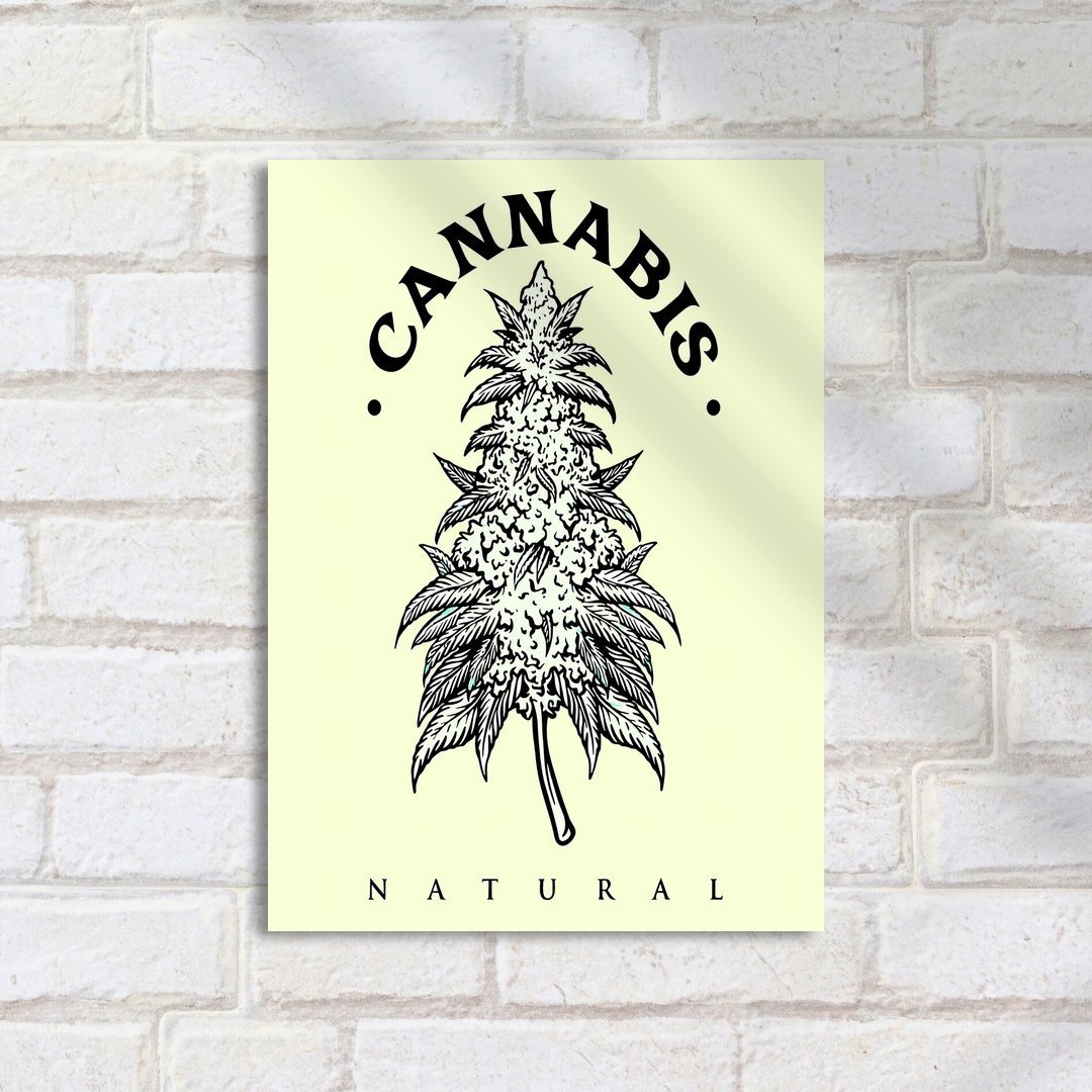 Quadro Decorativo Cannabis Natural Ilustracao - Imagem 2