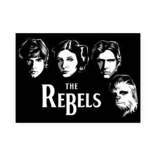 Quadro Decorativo Star Wars Personagens Rebeldes