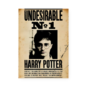 Quadro Decorativo Harry Potter Procurado Cartaz