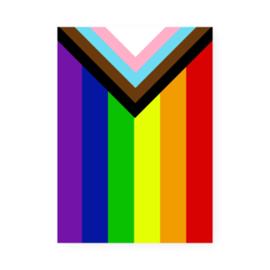 Quadro Decorativo Progress Pride Flag