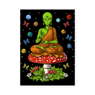 Quadro Decorativo Alien Buda Medita Planetas