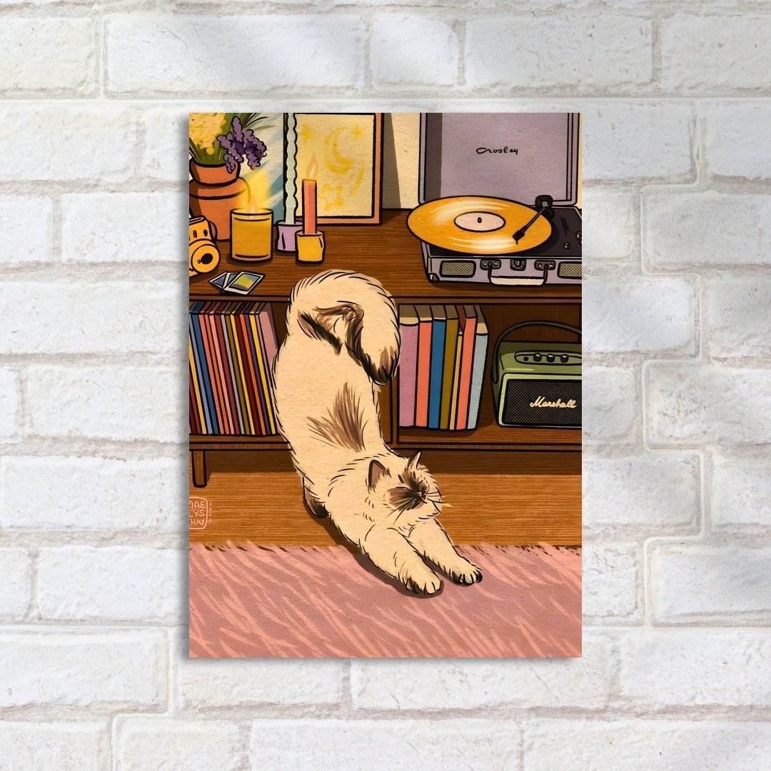 Quadro Decorativo Gato Alongando Em Frente Estante - Imagem 2