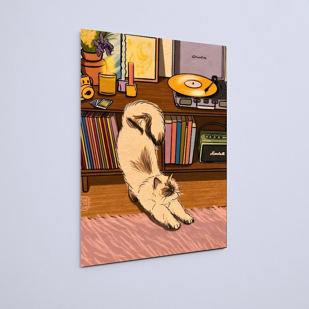 Quadro Decorativo Gato Alongando Em Frente Estante - Imagem 3