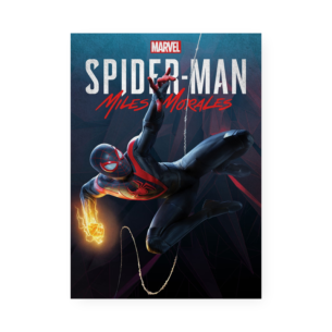 Quadro Decorativo Homem Aranha